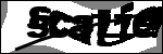 متن برای شناسایی